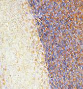 Georges Seurat Detail of Dance